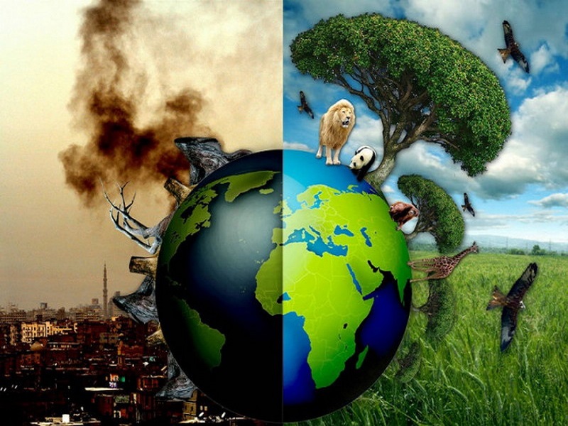 «Экология – дело каждого!».